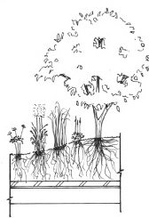Visual features of Site i